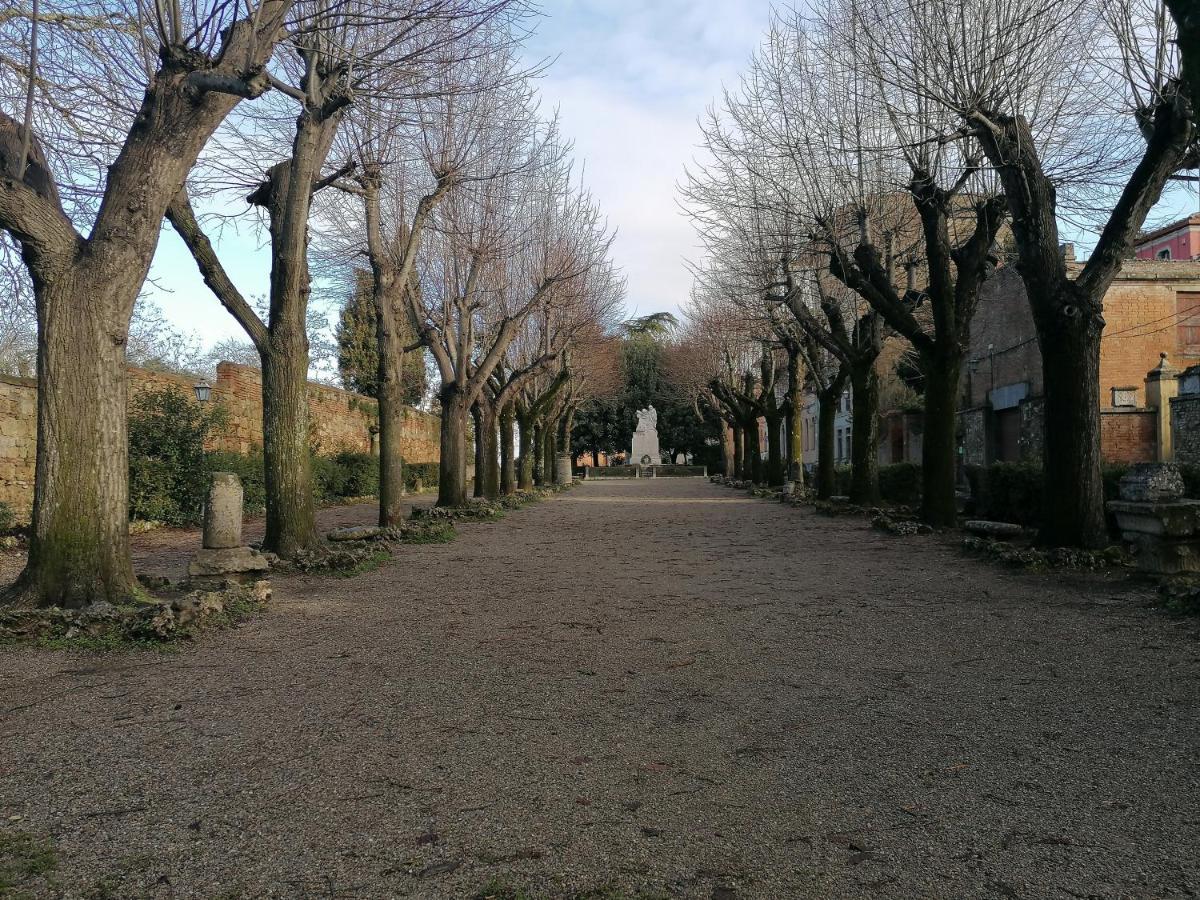 Etrusco Apartment *